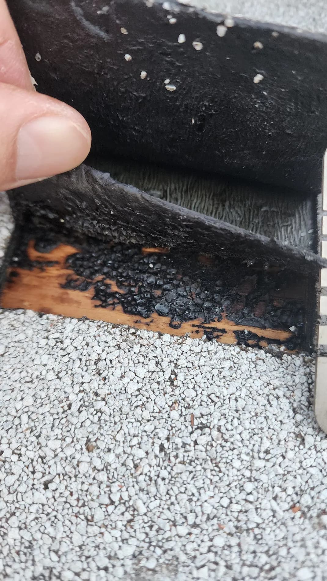 Old modified bitumen membrane torn during peel-back, exposing the wood deck beneath.