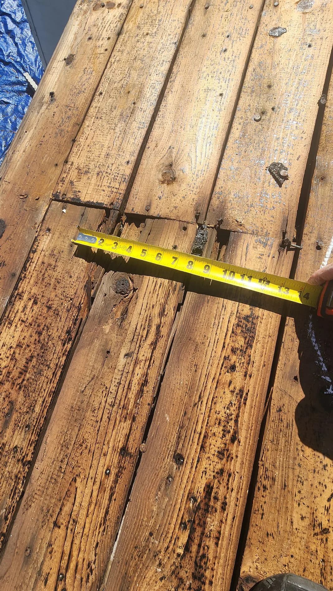 Tape measure laid across old plank roof decking with rot and gaps between boards